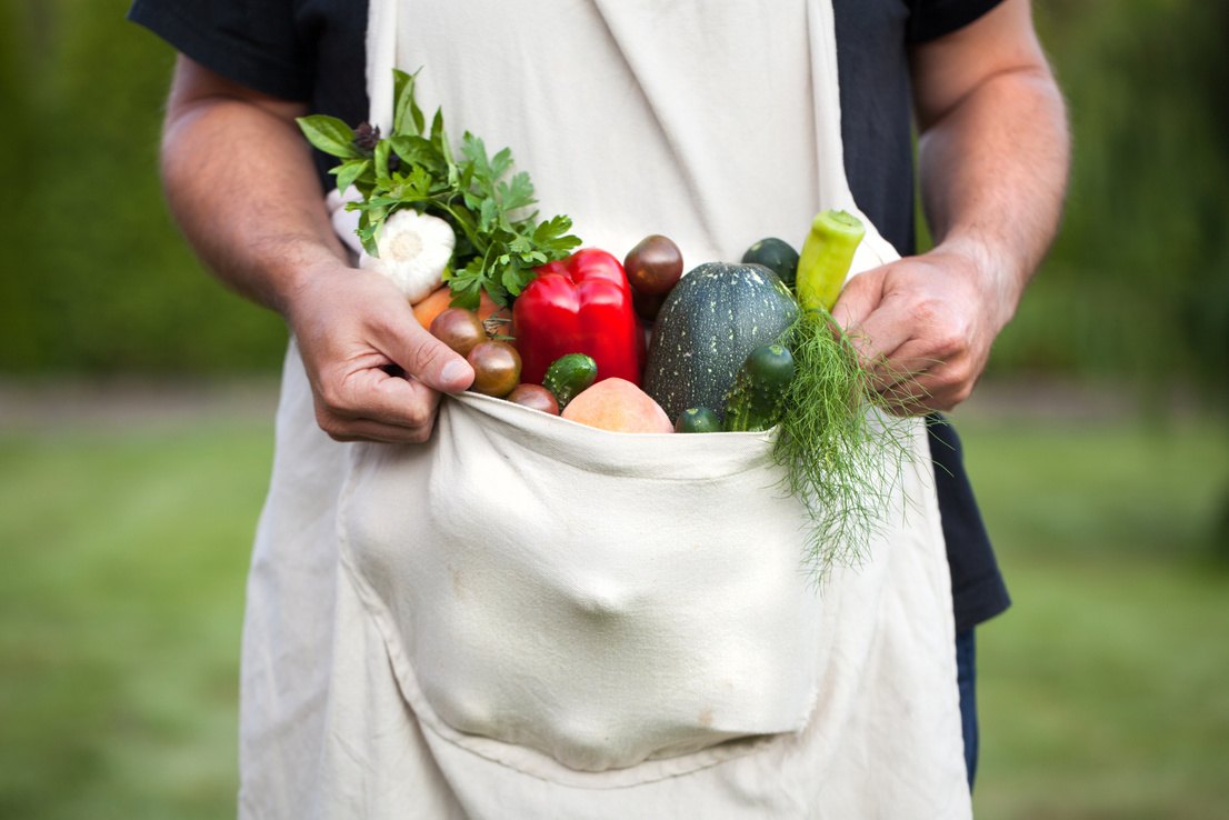 Apron filled with fresh vegetables and supplies